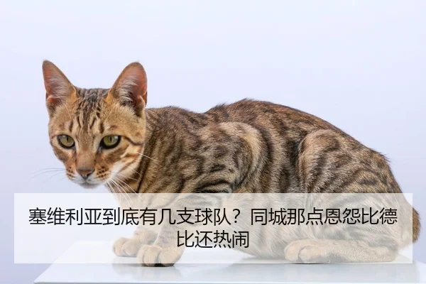 塞维利亚到底有几支球队？同城那点恩怨比德比还热闹