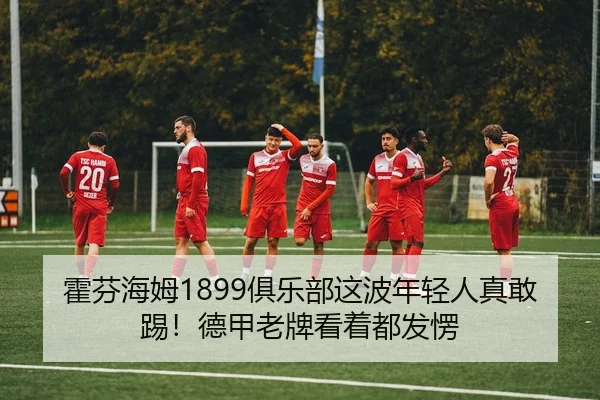 霍芬海姆1899俱乐部这波年轻人真敢踢！德甲老牌看着都发愣