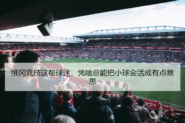 维冈竞技这帮球迷，凭啥总能把小球会活成有点意思