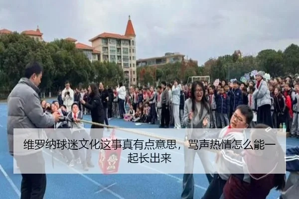 维罗纳球迷文化这事真有点意思，骂声热情怎么能一起长出来