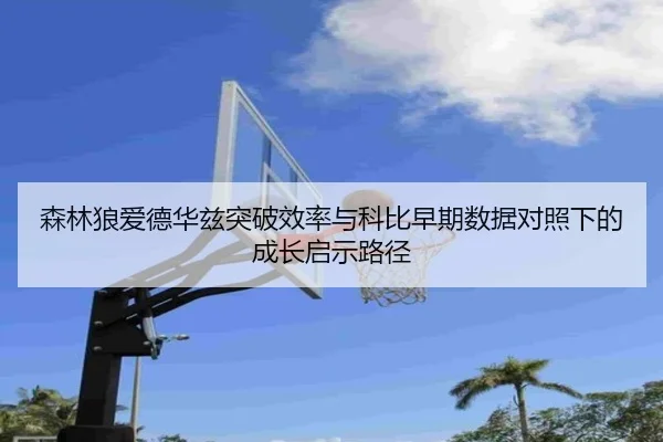 森林狼爱德华兹突破效率与科比早期数据对照下的成长启示路径